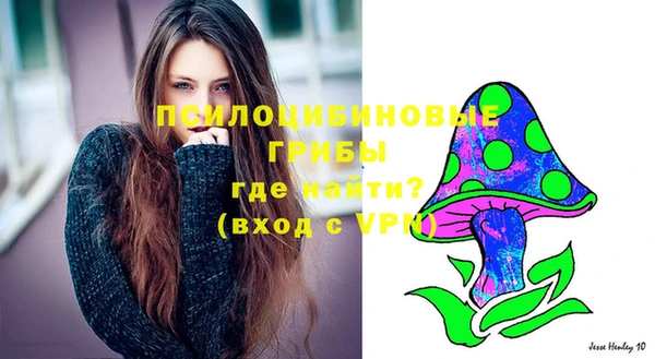 синтетический гашиш Алексеевка