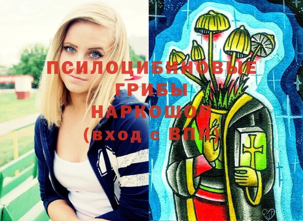 метадон Алексин