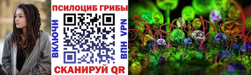 Галлюциногенные грибы мухоморы  мориарти наркотические препараты  Богучар 